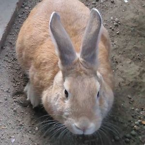 Meet your Posher, Jade